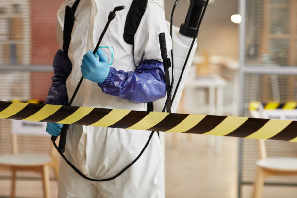 Professional Sewage Cleanup technician working in Bethel, WA